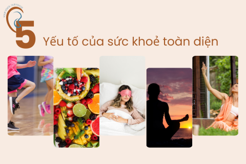 5 Yếu tố nền tảng của sức khoẻ toàn diện