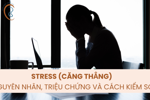 STRESS (CĂNG THẲNG): NGUYÊN NHÂN, TRIỆU CHỨNG VÀ CÁCH KIỂM SOÁT
