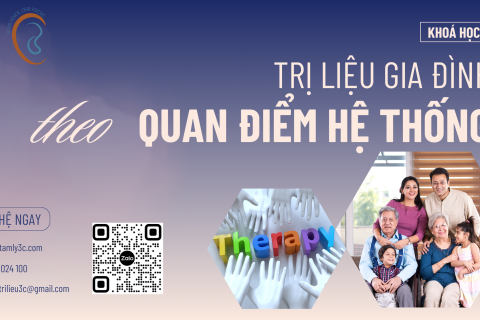 KHOÁ HỌC: TRỊ LIỆU GIA ĐÌNH THEO QUAN ĐIỂM HỆ THỐNG